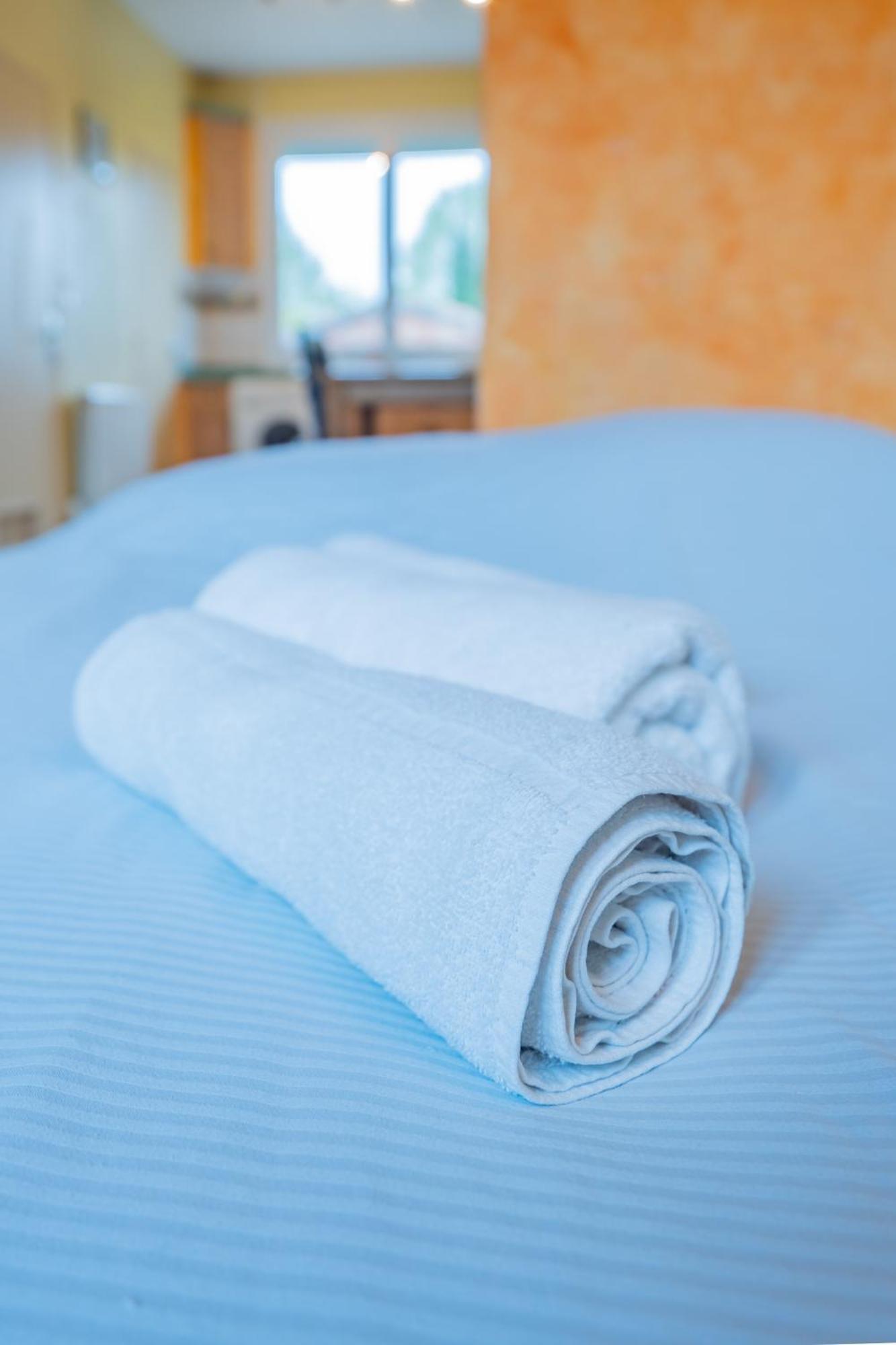 Room In Toulouse - Studio Proche Airbus Toulouse St Martin Touch 外观 照片
